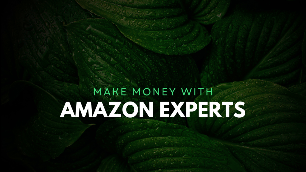 Amazon Experts